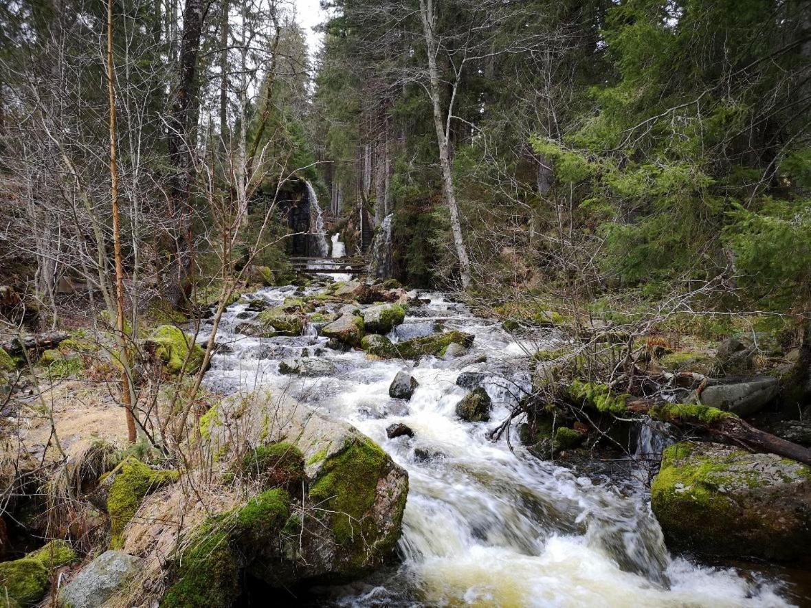 C2 Albmatte-Fewo , Hallenbad Aussenbecken Massagen Nebenan St. Blasien Eksteriør bilde