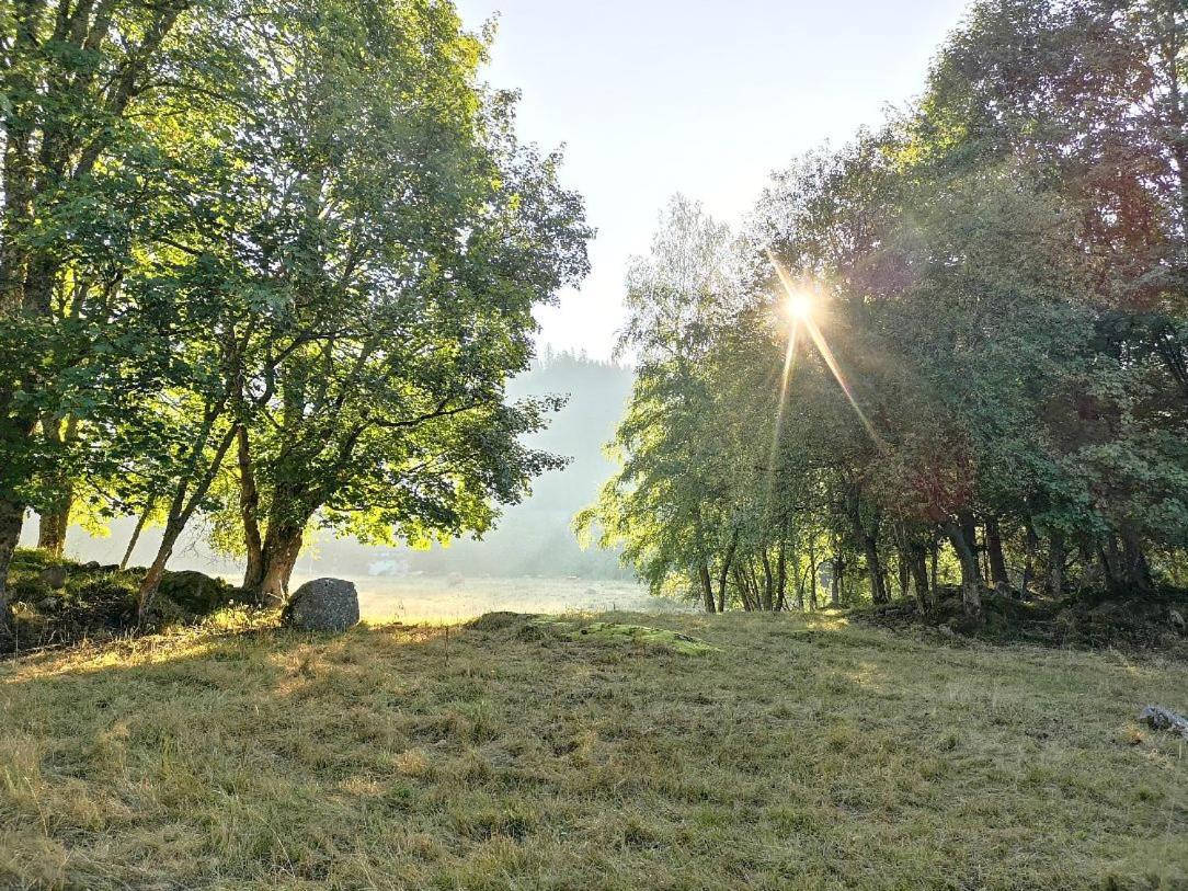 C2 Albmatte-Fewo , Hallenbad Aussenbecken Massagen Nebenan St. Blasien Eksteriør bilde