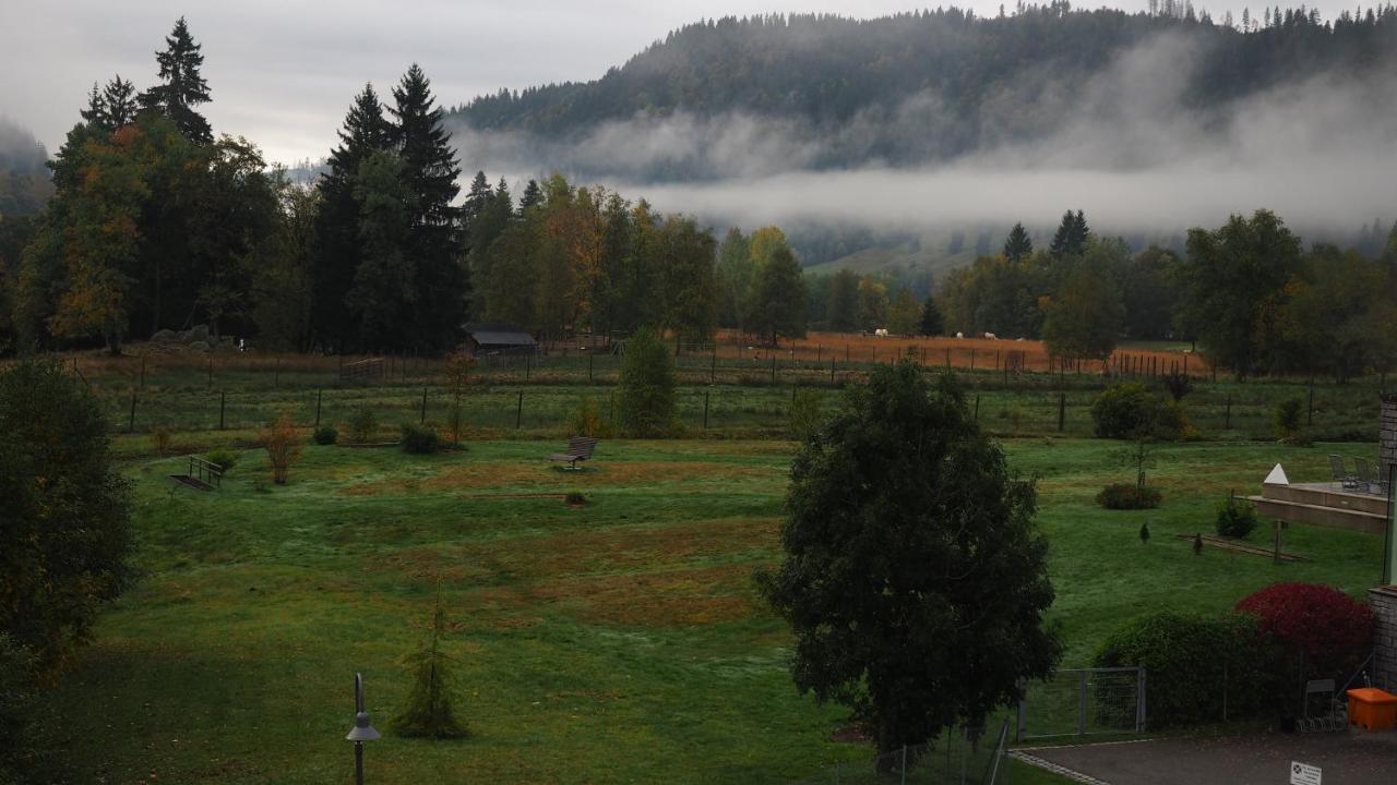 C2 Albmatte-Fewo , Hallenbad Aussenbecken Massagen Nebenan St. Blasien Eksteriør bilde