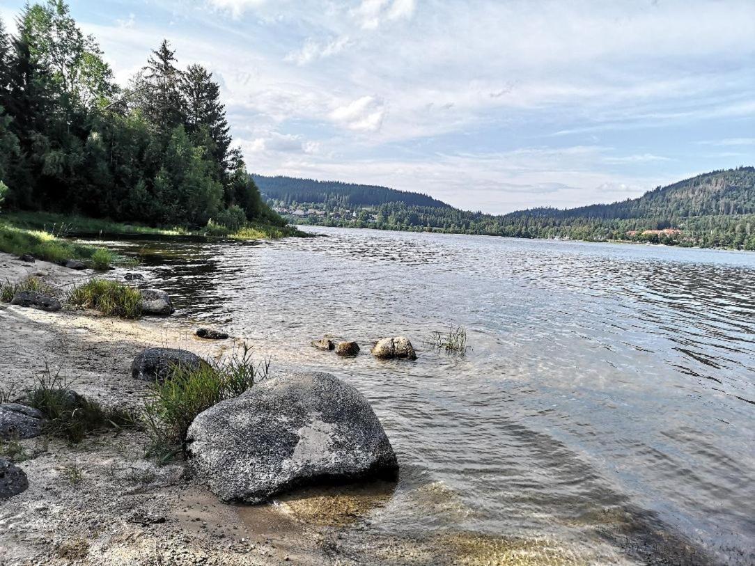 C2 Albmatte-Fewo , Hallenbad Aussenbecken Massagen Nebenan St. Blasien Eksteriør bilde