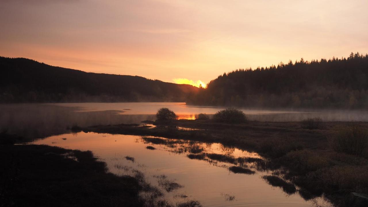 C2 Albmatte-Fewo , Hallenbad Aussenbecken Massagen Nebenan St. Blasien Eksteriør bilde