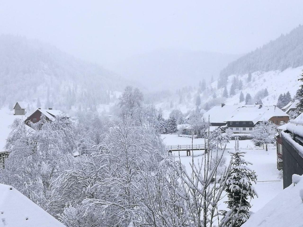 C2 Albmatte-Fewo , Hallenbad Aussenbecken Massagen Nebenan St. Blasien Eksteriør bilde