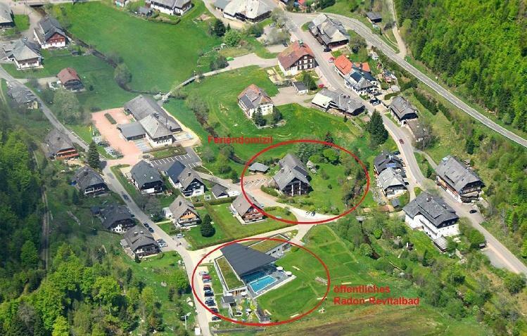 C2 Albmatte-Fewo , Hallenbad Aussenbecken Massagen Nebenan St. Blasien Eksteriør bilde
