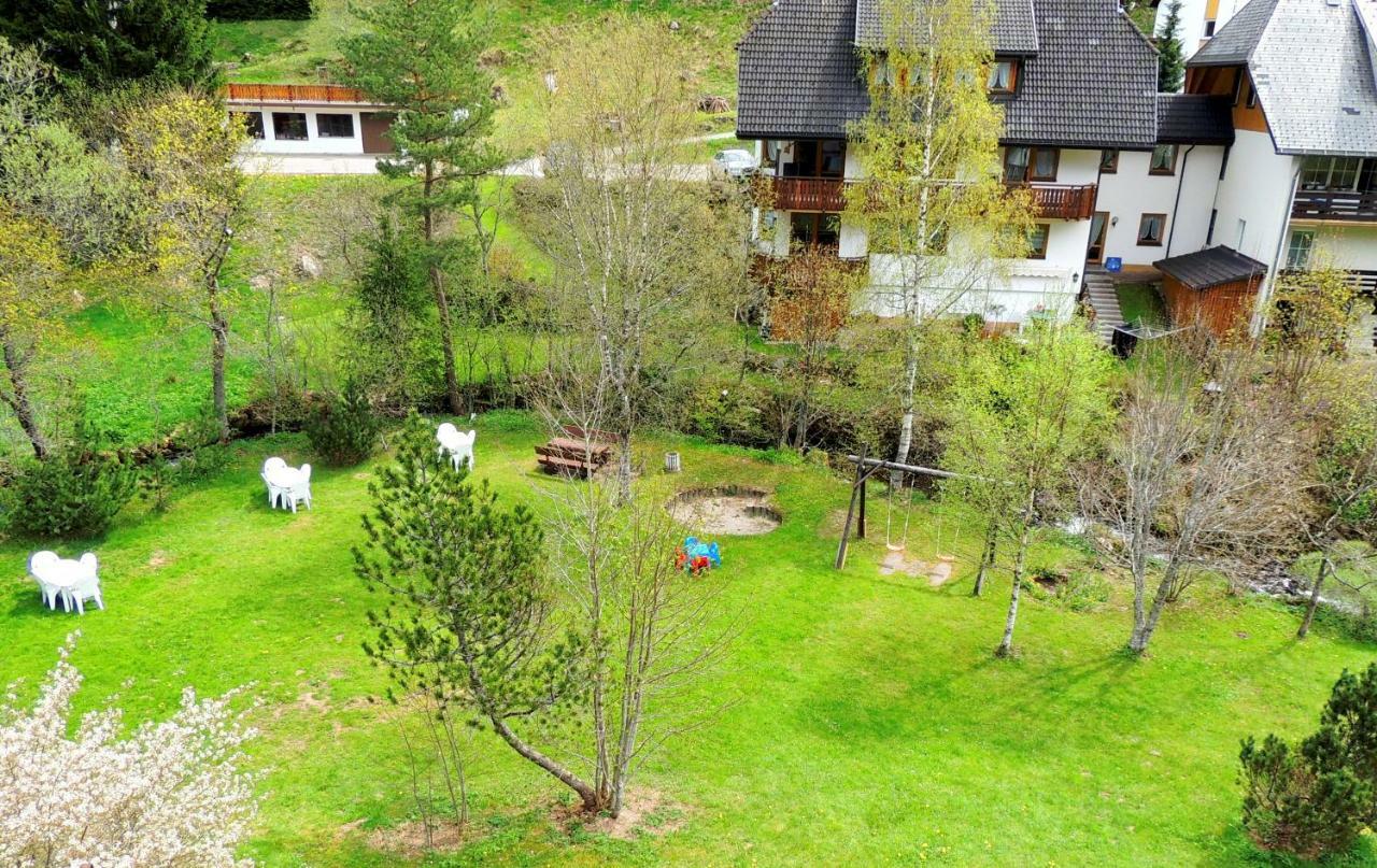 C2 Albmatte-Fewo , Hallenbad Aussenbecken Massagen Nebenan St. Blasien Eksteriør bilde